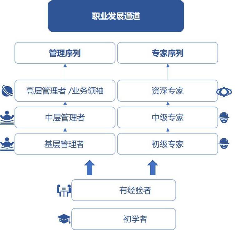 職業發展通道體系.jpg